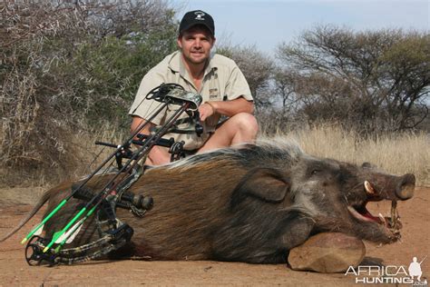 Bushpig | AfricaHunting.com