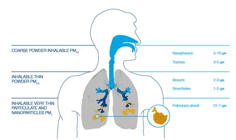 Particulate Pm Pm Pm Watercube Design