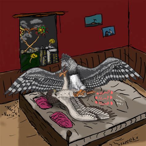 Rule 34 Augur Buzzard Avian Bird Eagle Feral Gay Harpy Eagle Licking