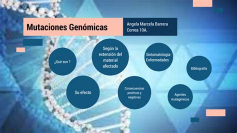 Mutaciones Genomicas By Angela Barrera On Prezi