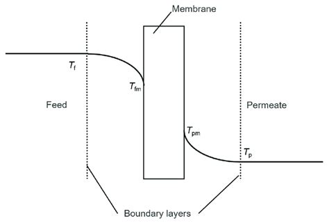 Heat Transfer Schematic Diagram Of Direct Contact Membrane Distillation