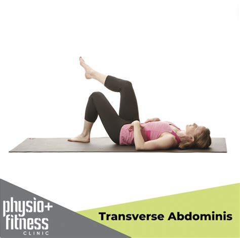 Transverse Abdominis Exercise With Downloable Sheet