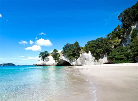 Best Selling 2 Nights 3 Days Tasmania Tour Package