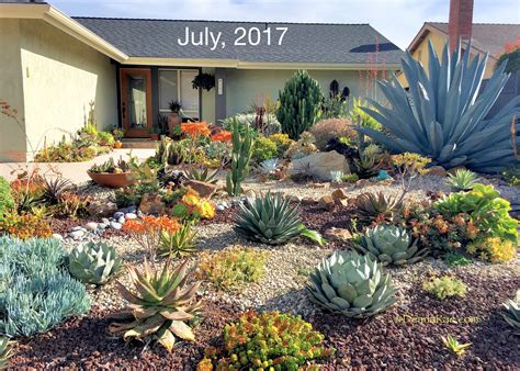 Ten Succulent Front Yard Essentials Debra Lee Baldwin