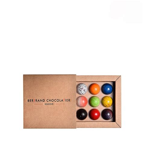 Bertrand Chocolatier Assortiment Dômes Chocolats Noir et Lait 81g 9