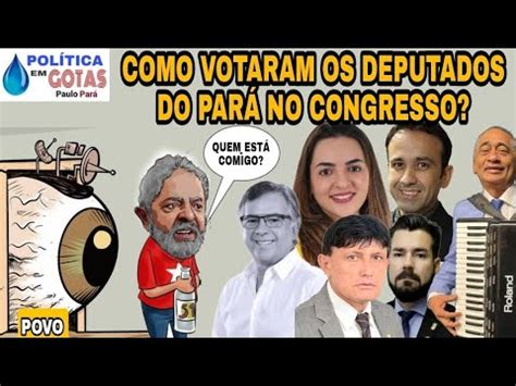 Como Os Deputados Do Par Est O Votando Youtube