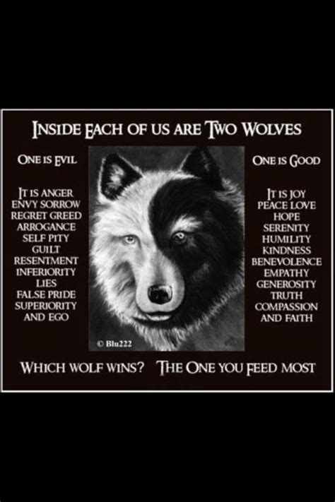 Which Do You Feed Wolf Quotes Two Wolves Native American Wisdom