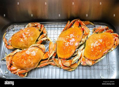 Whole Cooked Crabs In A Kitchen Sink Ready To Be Prepared To Eat Stock