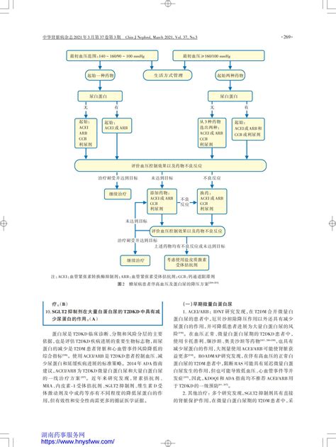 糖尿病肾脏疾病临床诊疗中国指南（2021版）指南•规范•共识药讯中心湖南药事服务网