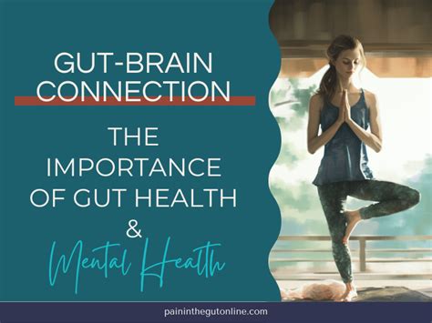 Gut Brain Connection The Importance Of Gut Health And Mental Health Pain In The Gut