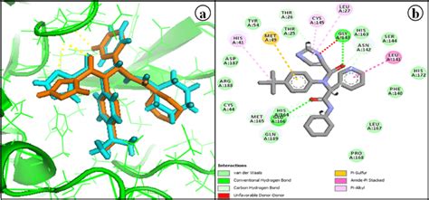 The Superimposition Of The Docked X77 With Its X Ray Crystal Structure