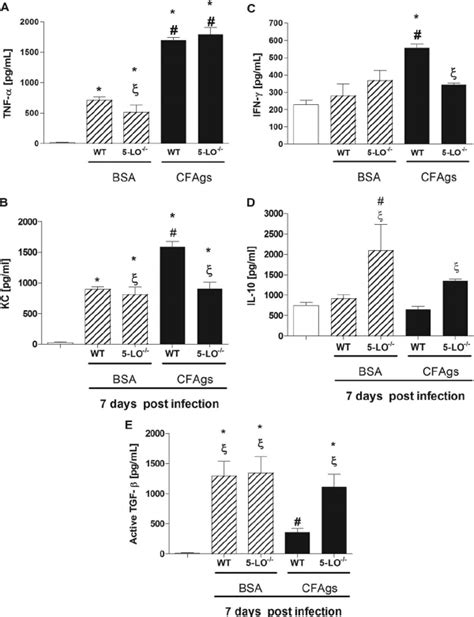 Cytokine Levels In Lung Tissue Mice Sub Mitted To Either I T PBS