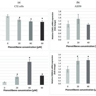 Expression Of CCND1 And CDKN1A MRNAs In A C32 And B A2058 Melanoma