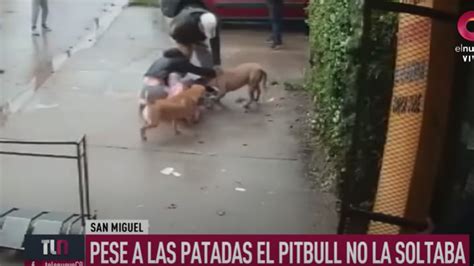 El Terror Fico Momento En Que Una Madre Se Enfrenta Al Pitbull Que