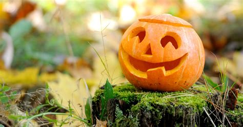 Halloween Astuces Pour Garder Une Citrouille Sculpt E Le Plus