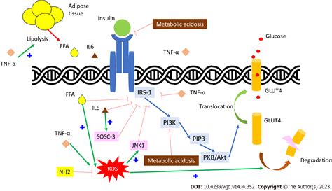 Role Of Antidiabetic Agents In Type 2 Diabetes Patients With Chronic