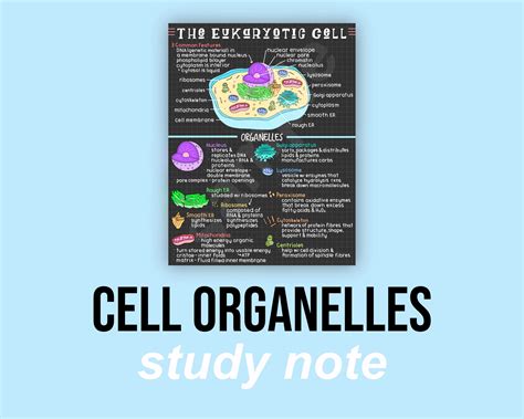 Cell Organelles Study Notes Biology Notes Etsy