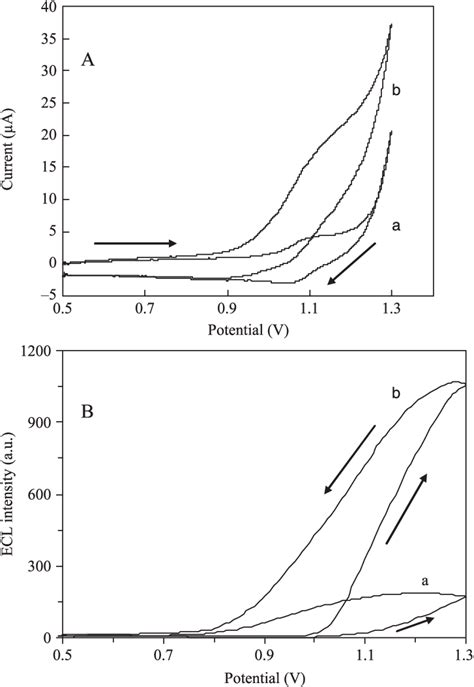 Cyclic Voltammograms A And ECL Potential Curves B Of The Modified