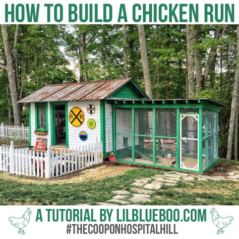 How to Build a Chicken Run - Ashley Hackshaw / Lil Blue Boo