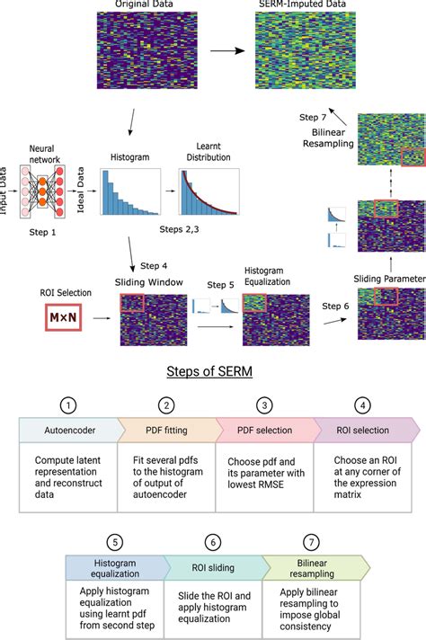 Workflow of SERM A subset of the expression matrix is inputted into an ...