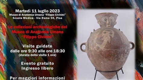 Le Notti Dell Archeologia Al Museo Di Anatomia Umana Filippo Civinini