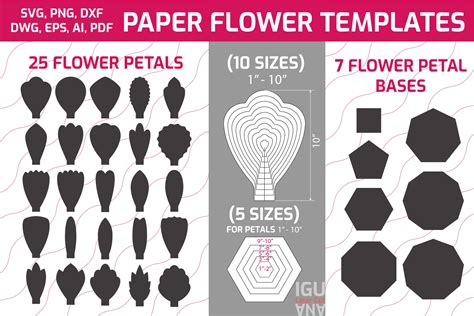 Paper Flower Templates Petals Bases Svg Graphic By Iguana Cut And