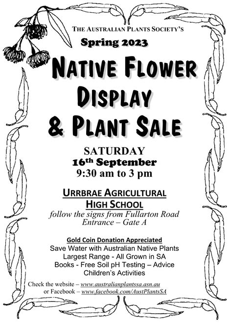 B&q trowbridge garden center reveals massive spring plant sale 23