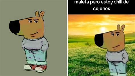 Cu L Es El Origen Del Perro Tranquilo Y De Chill Que Se Hizo Viral