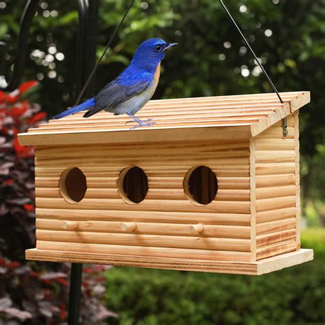 Homemade Bird House Cardinal