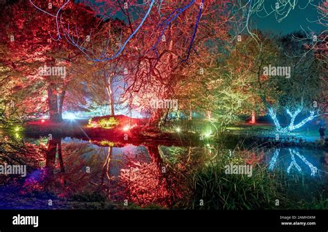 The Enchanted Forest Syon Park London Uk Stock Photo Alamy