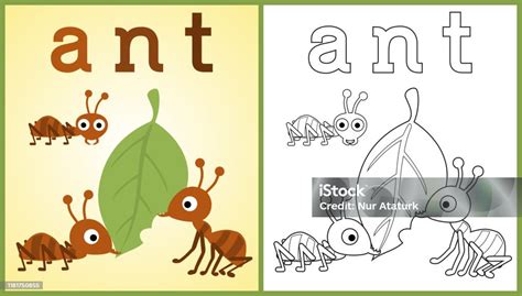 Vector Cartoon Of Working Ants Coloring Book Or Page Stock Illustration