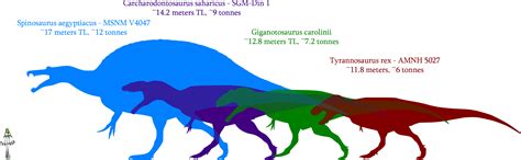 Congratulations! The PNG Image Has Been Downloaded (Giganotosaurus Size ...