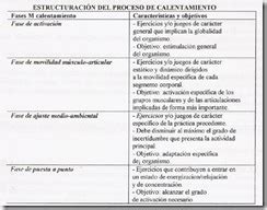 Tema 15A El Calentamiento Fundamento Y Tipos Funciones