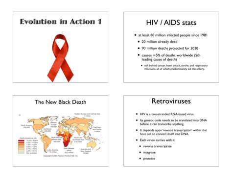 Evolution In Action 1 HIV AIDS Stats Retroviruses