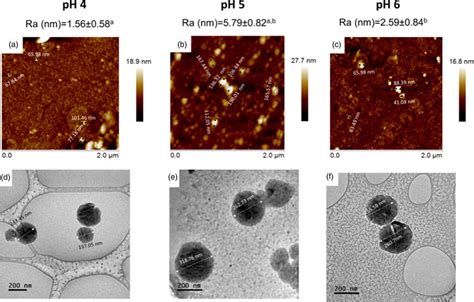 A C Atomic Force Microscopy Afm Height Images Of Casein Scanned At