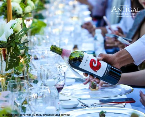 Everything about Wine Mongolia - Home