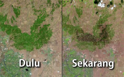 Dilihat Dari Luar Angkasa Begini 10 Foto Kondisi Bumi Dulu Dan