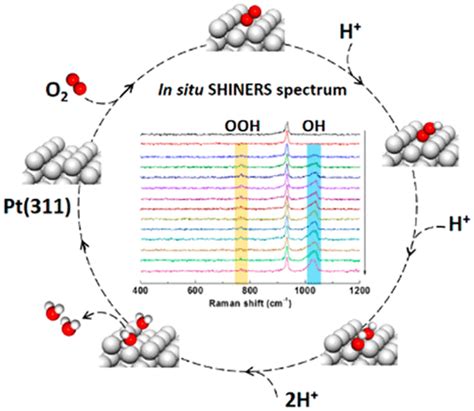 Direct In Situ Raman Spectroscopic Evidence Of Oxygen Reduction