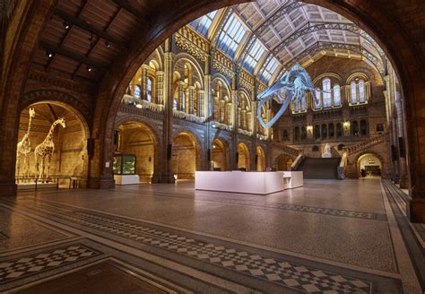 Natural History Museum Revamp Focuses On Authenticity” Design Week