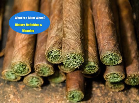 What is a Blunt (Weed)? History, Definition & Meaning | LOOKAH