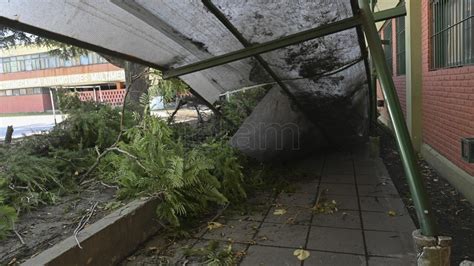 Lo Que Dej El Temporal Rboles Ca Dos En Caba Y Cortes De Luz Y