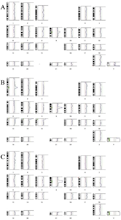 The Comparative Genomic Hybridization Cgh Results Of One Cell From