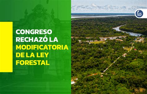 Congreso rechazó la modificatoria de la Ley Forestal IUS Latin