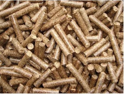 Biomass Pellet At Rs 8000 Tonne Biomass Pellet In Nagpur ID