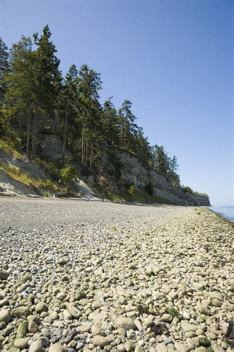 Port Williams Beach stock photo. Image of rock, outside - 7625340