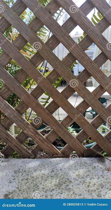 Lattice of Narrow Wooden Slats, Rhombic Lattice, Garden Decor, Stock ...