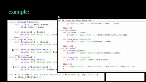 17 Python Polymorphism In Details Youtube