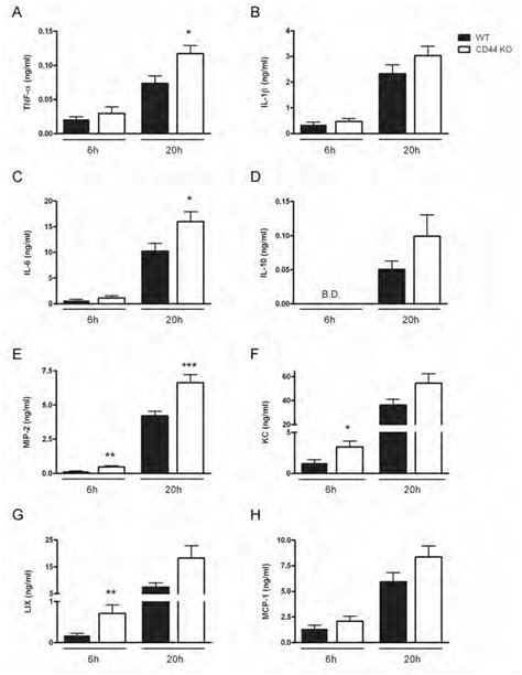 CD44 KO mice demonstrate enhanced TNF α IL 6 and chemokine MIP 2 KC