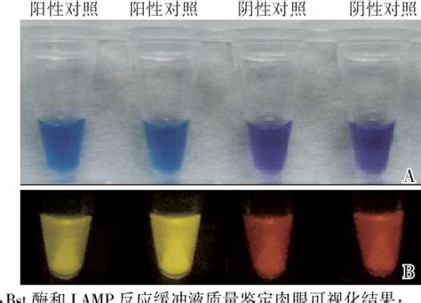 Figure From Study On Main Raw Materials Of Field Visualization Rapid