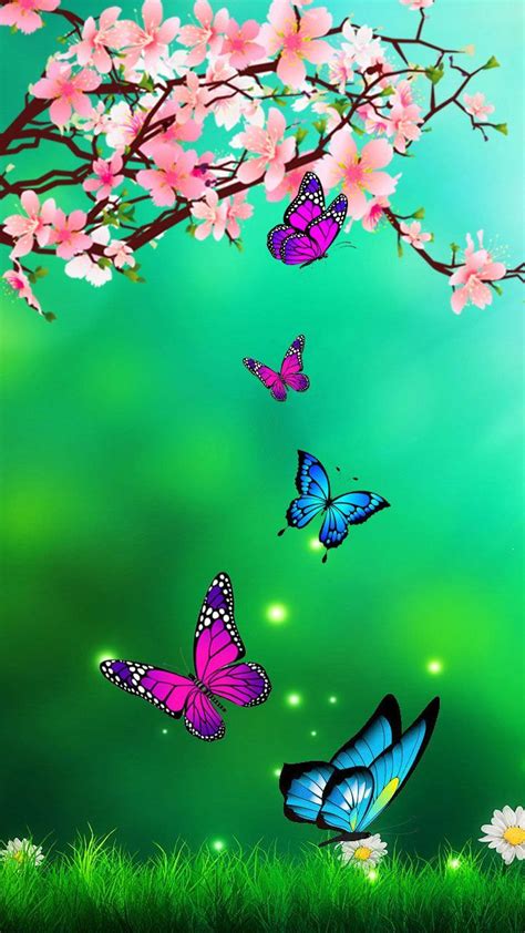 Nature Butterfly Wallpapers 4k Hd Nature Butterfly Backgrounds On